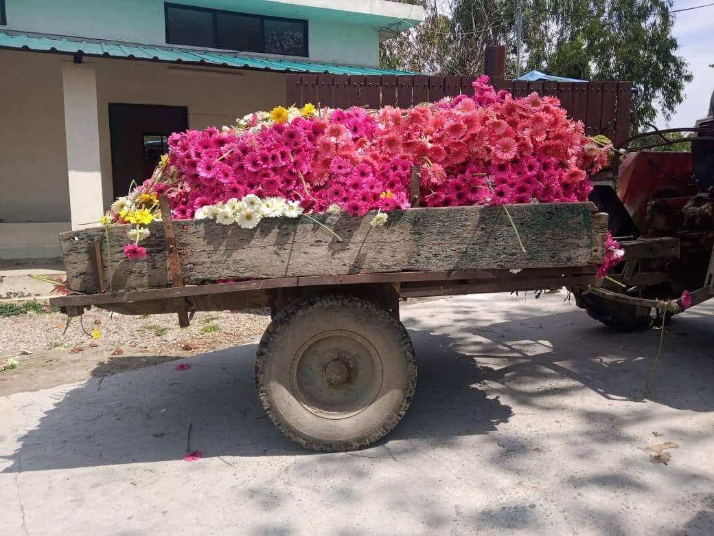 Flower market downfall in dehradun.jpeg