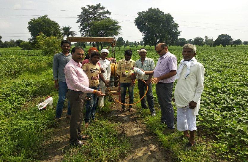 mp farmer 