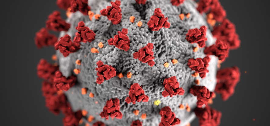 coronavirus