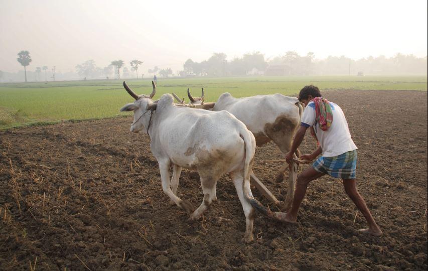 ग्रामीण भारत में कोरोना