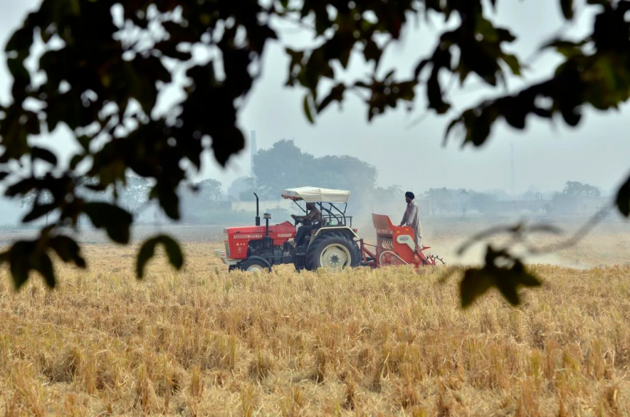 भारतीय खाद्य अर्थव्यवस्था