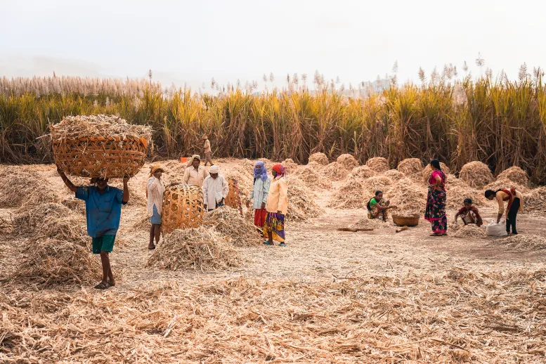 rural labour