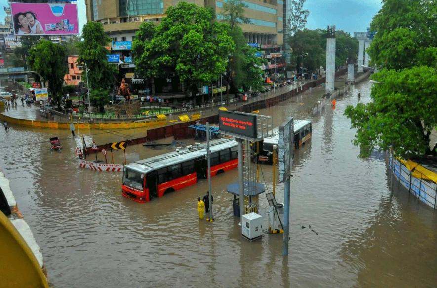 Vidarbha 