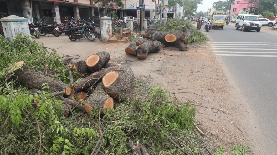 cutting trees