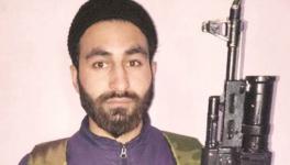 mannan wani 