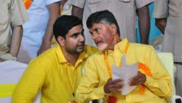 Chandrababu Naidu