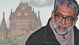 gautam navlakha