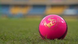 pink ball test