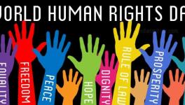 human rights day