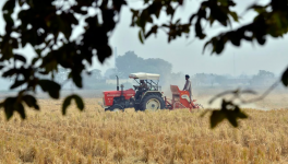 भारतीय खाद्य अर्थव्यवस्था