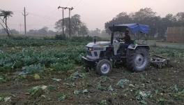 bihar farmer