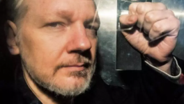 julian-assange