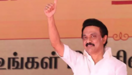 M. K. Stalin