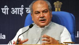 Narendra Singh Tomar