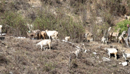 Uttarakhand