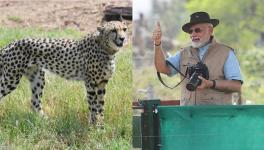 chita and modi 