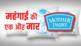 mother dairy